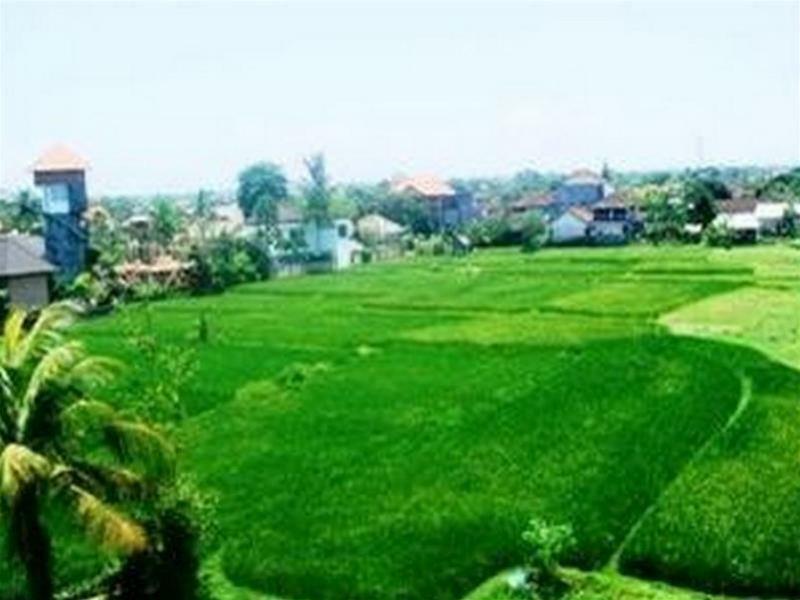 Nuriani Guest House อูบุด ภายนอก รูปภาพ